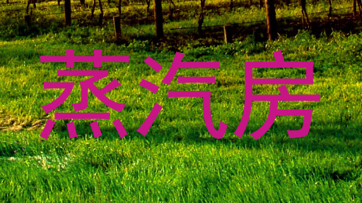 蒸汽房