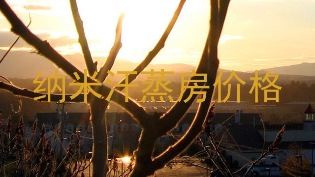 纳米汗蒸房价格