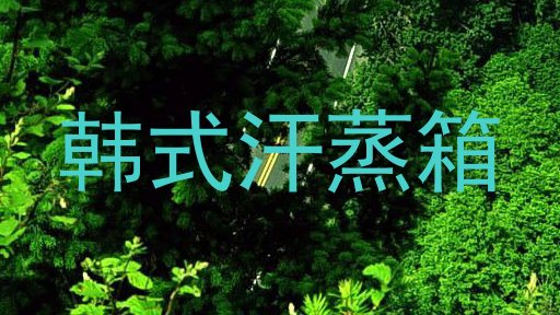 韩式汗蒸箱