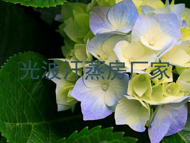 光波汗蒸房厂家