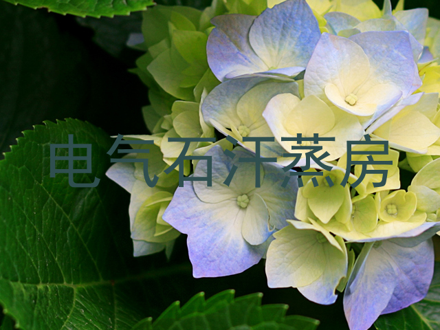 电气石汗蒸房