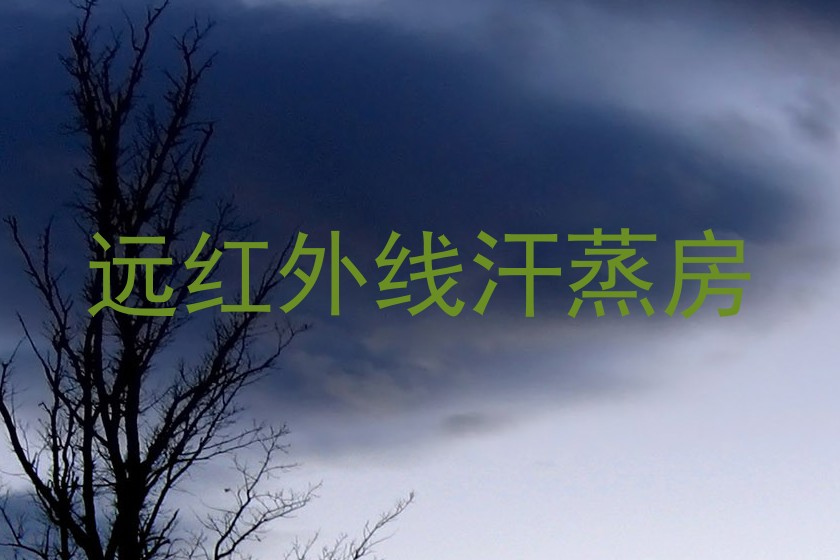 远红外线汗蒸房