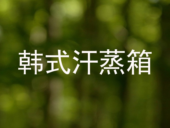 韩式汗蒸箱