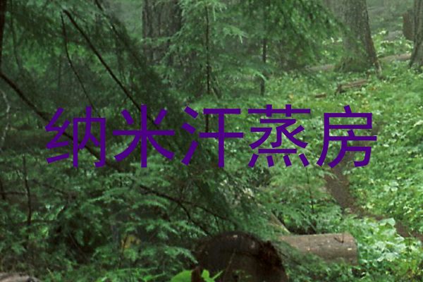 纳米汗蒸房