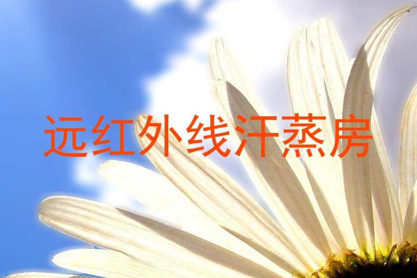远红外线汗蒸房