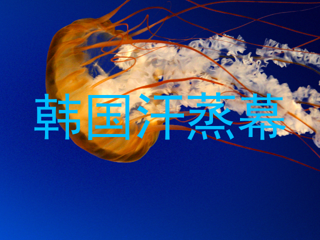 韩国汗蒸幕