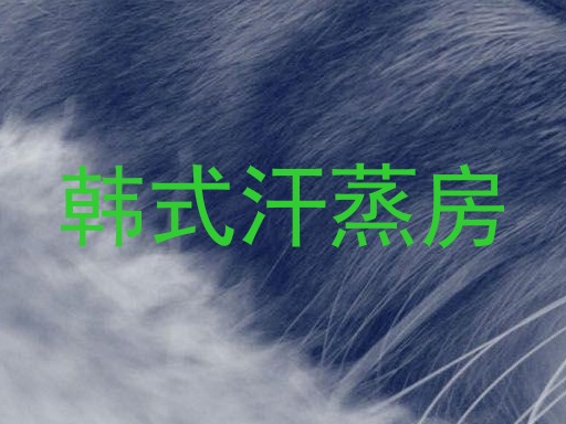 韩式汗蒸房