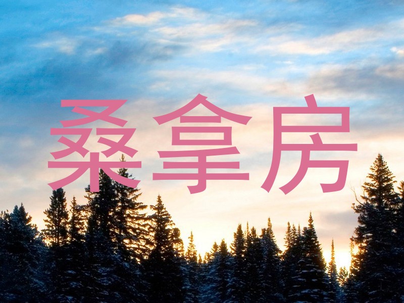 桑拿房
