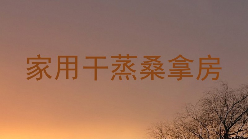 家用干蒸桑拿房