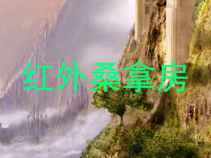 红外桑拿房