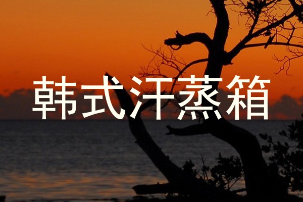 韩式汗蒸箱