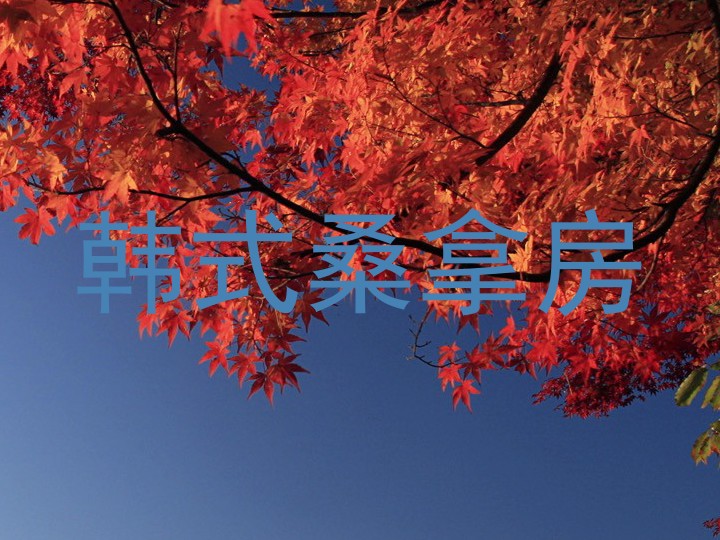 韩式桑拿房