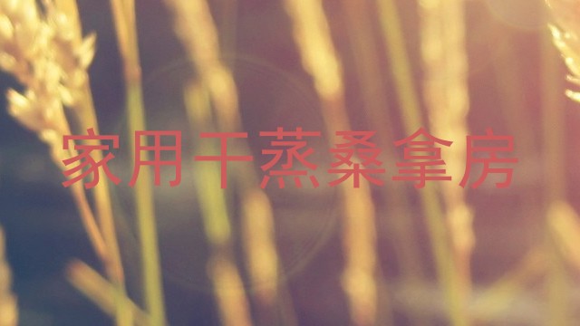 家用干蒸桑拿房