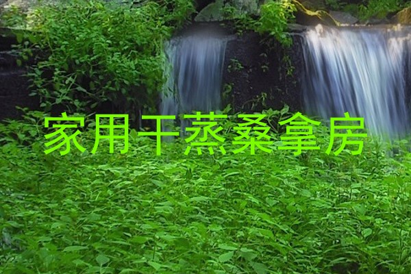 家用干蒸桑拿房
