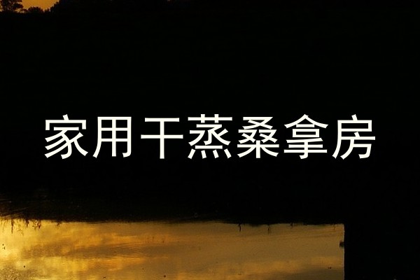 家用干蒸桑拿房