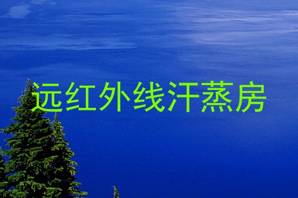 远红外线汗蒸房