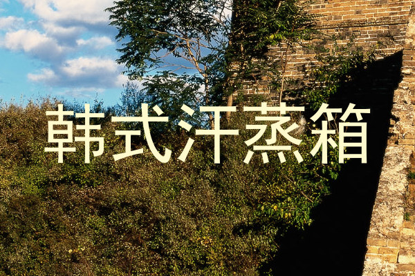 韩式汗蒸箱