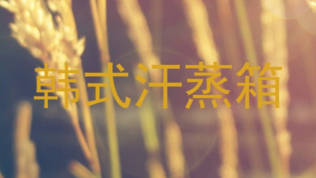 韩式汗蒸箱