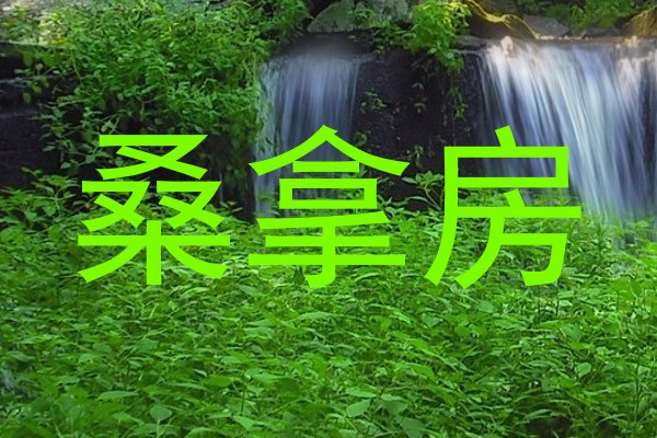 桑拿房