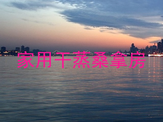 家用干蒸桑拿房