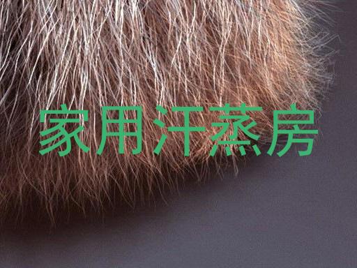 家用汗蒸房