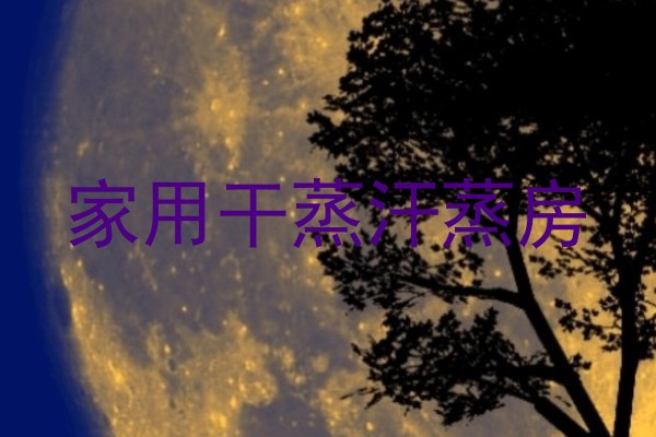 家用干蒸汗蒸房