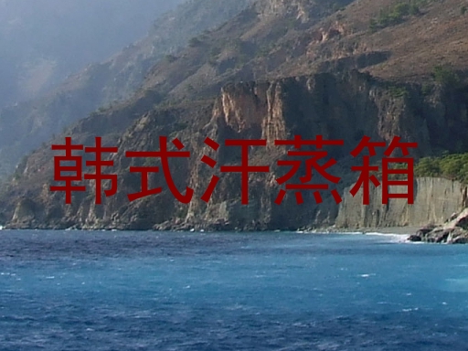 韩式汗蒸箱