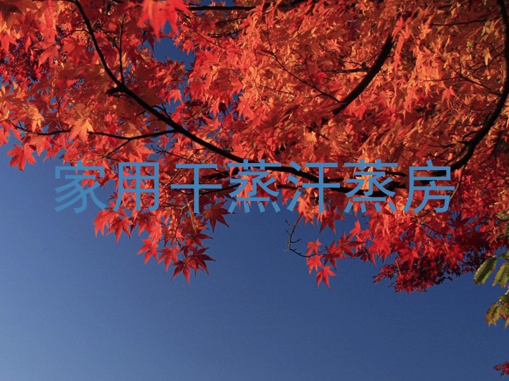 家用干蒸汗蒸房