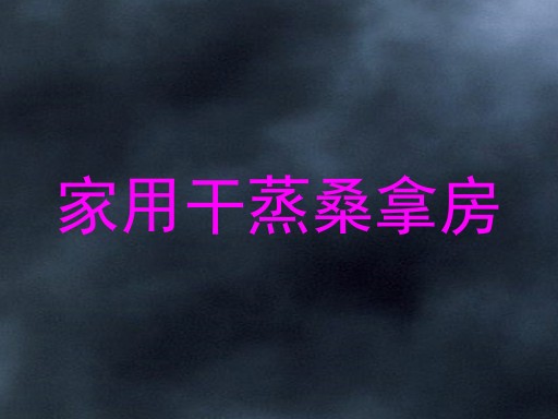 家用干蒸桑拿房