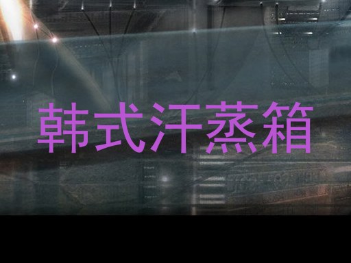 韩式汗蒸箱
