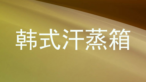 韩式汗蒸箱