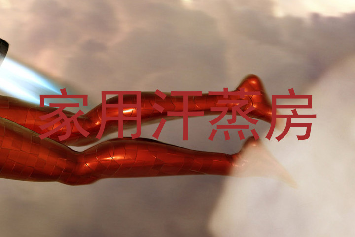 家用汗蒸房