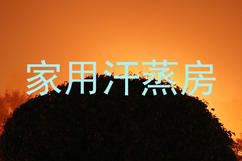 家用汗蒸房