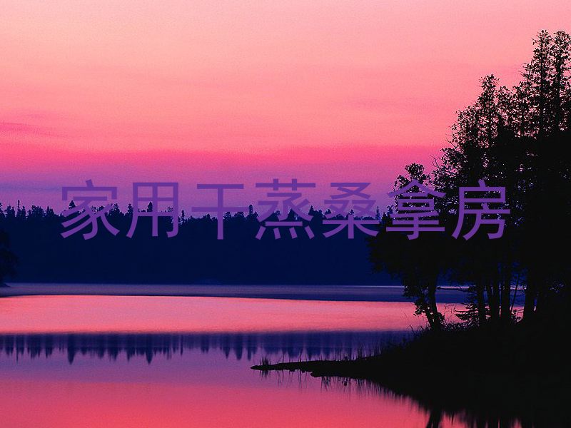 家用干蒸桑拿房