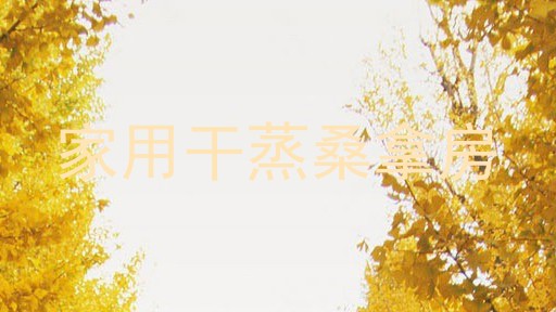 家用干蒸桑拿房