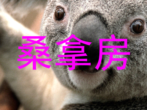 桑拿房
