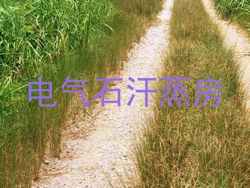 电气石汗蒸房