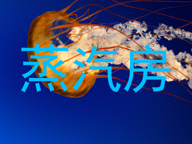 蒸汽房