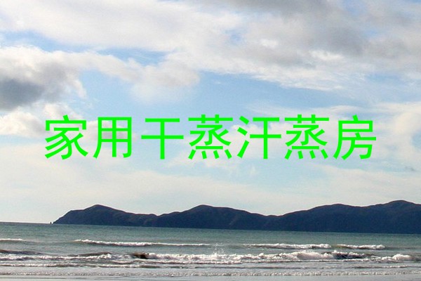 家用干蒸汗蒸房