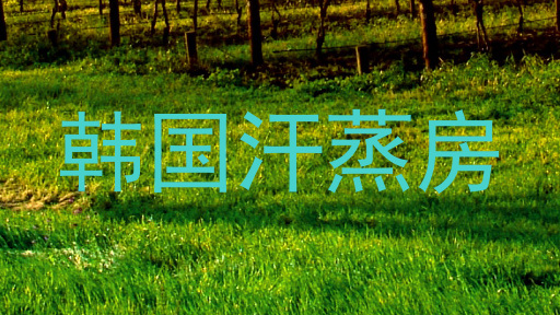 韩国汗蒸房