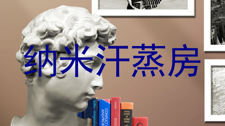 纳米汗蒸房
