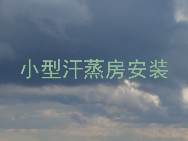 小型汗蒸房安装