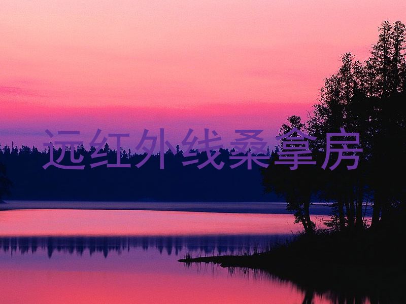 远红外线桑拿房