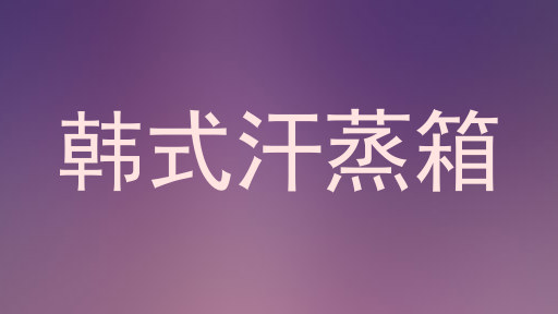 韩式汗蒸箱