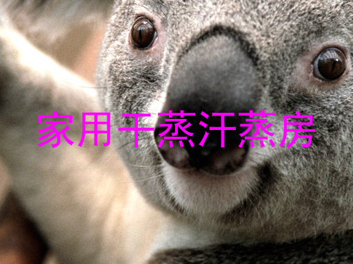 家用干蒸汗蒸房