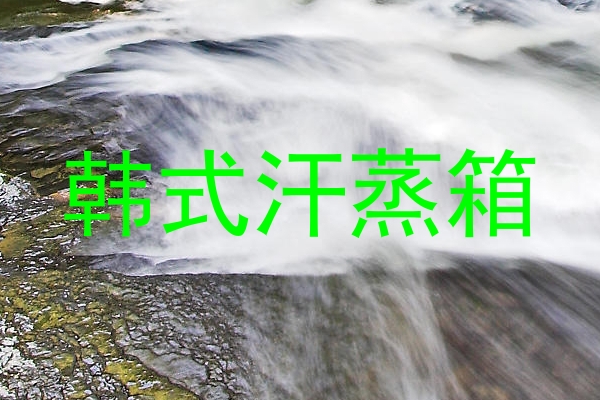 韩式汗蒸箱