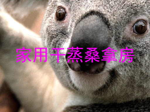 家用干蒸桑拿房