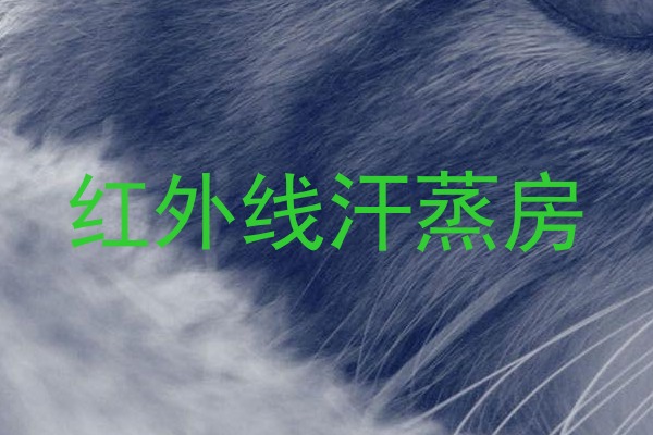红外线汗蒸房