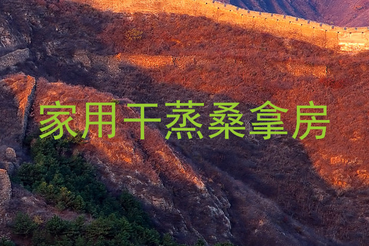 家用干蒸桑拿房