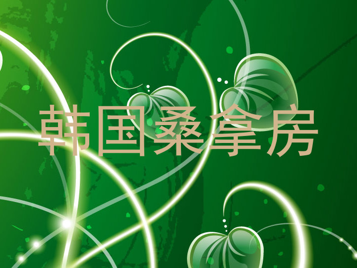 韩国桑拿房